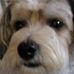 Profile Picture of Bill Foglesong (@bill.foglesong.75) on Facebook