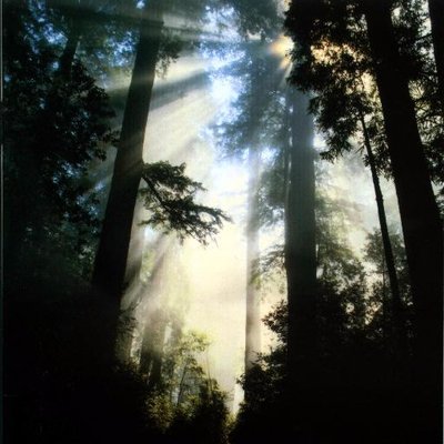 Profile Picture of Nate Packer (@Packednut) on Twitter