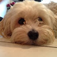 Profile Picture of Kevin Fenton (@kevin-fenton-35) on Quora