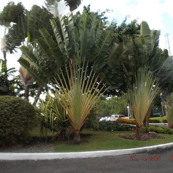 Profile Picture of Nancy Ferguson (@roadrnrs) on Poshmark