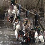 Profile Picture of robert snider (@cutdownkid) on Instagram