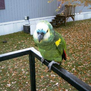 Profile Picture of Scott Sundoren (@scott.sundoren) on Facebook