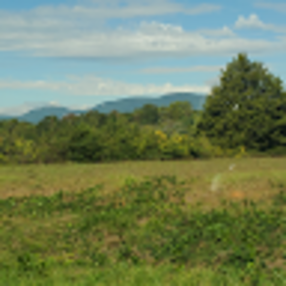 Profile Picture of Katelyn Pope (@kloveswings) on Poshmark