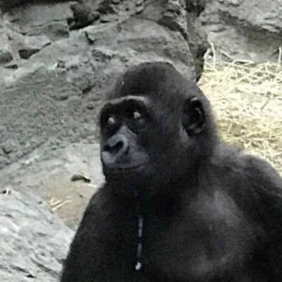 Profile Picture of Martin E. Carlin (@FormerlyMort) on Twitter