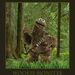 Profile Picture of Kevin Bode (@kb020299) on Pinterest