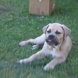 Profile Picture of Eric Lambertsen (@friday13th_1979) on Myspace