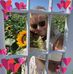 Profile Picture of Jill Grego (@jill.grego.5) on Facebook