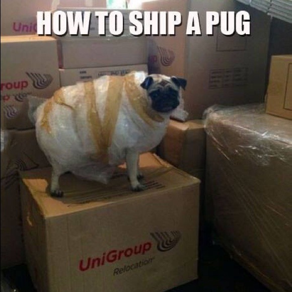 Profile Picture of Mayra Mata (@anahi828) on Poshmark