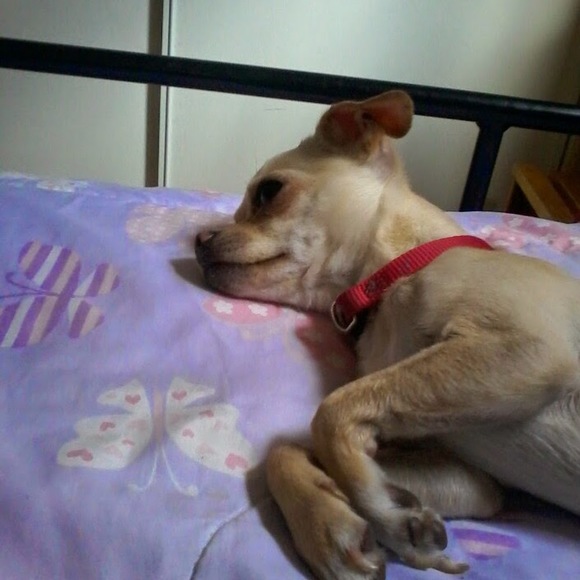 Profile Picture of Jimenez Ariana (@jimenezariana) on Poshmark