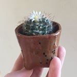 Profile Picture of Amy Prebble (@prebblepots) on Instagram