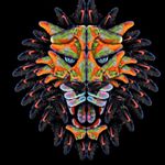Profile Picture of Max Wilcox (@beastw15) on Instagram