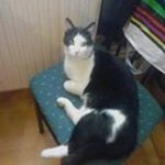 Profile Picture of Isabelle Régnier (@regnieri) on Instagram