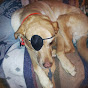 Profile Picture of pauljwlr (@@pauljwlr) on Tiktok