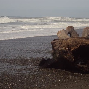 Dustin Scholfield - Myspace Profile Picture of Dustin Scholfield (@northern.sav) on Myspace