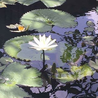 Profile Picture of Edith Courtois (@edith.courtois.1) on Facebook