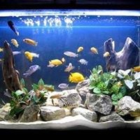 Profile Picture of Brad Winters (@brad-winters-11) on Quora