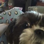 Profile Picture of Nicholas richard bower (@nicholasbower14) on Instagram