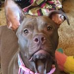 Profile Picture of Joe Mosier (@joe.mosier.777) on Instagram