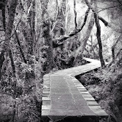 Profile Picture of Skye Chapman (@MrEhkai) on Youtube