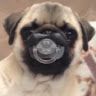 Profile Picture of Kevin Arevalo-Moran (@kevinarevalomoran) on Pinterest