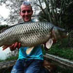 Profile Picture of Stephen (@stephen_gillard) on Instagram