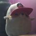 Profile Picture of Amir Abraham (@amirabraham54) on Pinterest