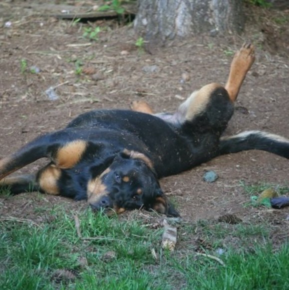 Profile Picture of Bridget Fosback (@mrsfozzy) on Poshmark