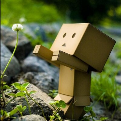 Profile Picture of Junghye Eom (@JungHye24) on Twitter