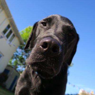 Profile Picture of David Lovell (@DavidLovell9) on Twitter