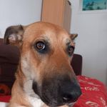 Profile Picture of Nolanlebreton Dugué (@nolan.29.dugue) on Instagram