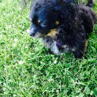 Profile Picture of Michael Forbes (@forbes_mforbes3) on Twitter