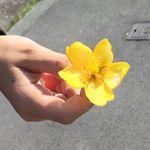 Profile Picture of amelia.griffiths.06 (@amelia.griffiths.06) on Instagram