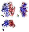 Profile Picture of Transglutaminase - Wikipediaon Wikipedia