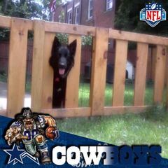 Profile Picture of sweet (@stevendipietro8) on Tiktok