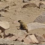 Profile Picture of George Holly (@George-Holly) on Facebook