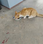 Profile Picture of Carol Grammer (@carol.grammer.7) on Facebook