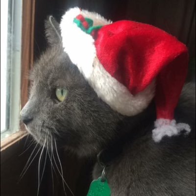 Profile Picture of James (@jamesgragan) on Twitter