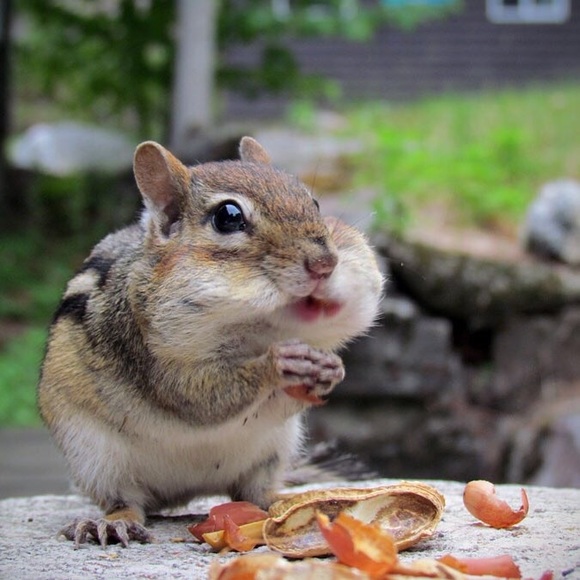 Profile Picture of Miss Coco (@mrsyap) on Poshmark