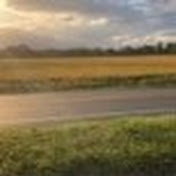 Profile Picture of Adam Brown (@adambrown4311) on Youtube