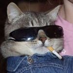 Profile Picture of Daniel Fedorenko (@gypsyy_dan) on Instagram