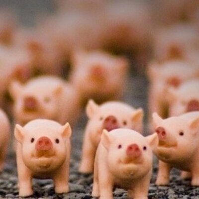 Profile Picture of Jeff Wobbe (@tehjeppy) on Twitter