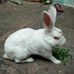 Profile Picture of Vinayak Agrawal (@vinayak.agrawal.3386) on Facebook