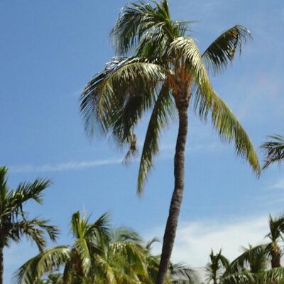Profile Picture of Tom LaPointe (@TD_LaPointe) on Twitter