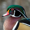 Profile Picture of Spencer Covert (@spencer_covert_photography) on Flickr
