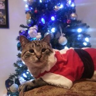 Profile Picture of JOE Levesque (@IC3COLD69) on Twitter