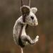Profile Picture of Marilyn Lamb (@mlamb902) on Pinterest