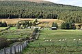Profile Picture of Barrooskyon Wikipedia