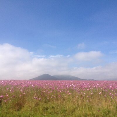 Profile Picture of Rocio Razo (@HumusBio) on Twitter