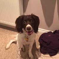 Alyson Low - Quora Profile Picture of Alyson Low (@alyson-low-1) on Quora