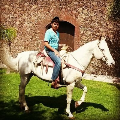 Profile Picture of Hugo Quezada (@hugoquezada1706) on Twitter